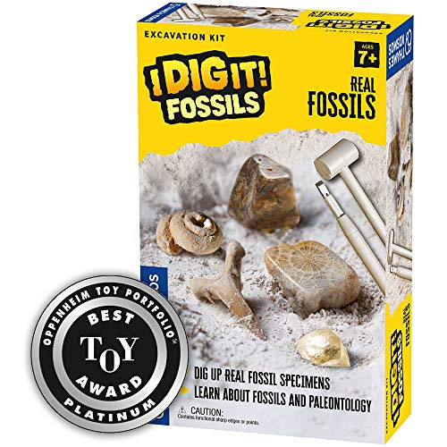Thames & Kosmos I Dig It Fossils - Real Fossils Excavation Kit  Science Experiment Kit  Excavate Real Fossil Specimens  Paleontology  2018 Oppenheim Toy Portfolio Platinum Award