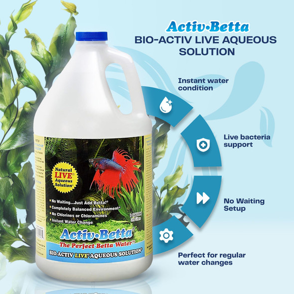 Activ Betta Bio-Activ Live Betta Water - 1 Gallon - Instant Cycling No Chlorine Balanced Formula With Live Bacteria For Freshwater Aquariums