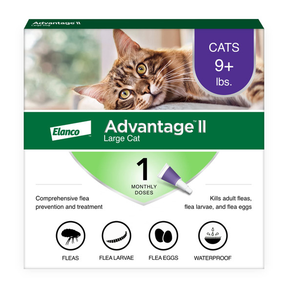 Advantage Ii Large Cat Vet-Recommended Flea Treatment & Prevention Cats Over 9 Lbs. 1-Month Supply