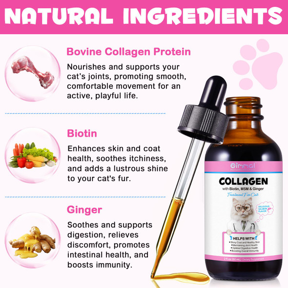 Alivo Collagen For Cats Liquid Collagen Drops With Safe Ingredients Supports Cat Itch Relief Cats Herbal Supplement Pet Supplies - Cat Multivitamin For Pets - 60Ml / 2.02Oz