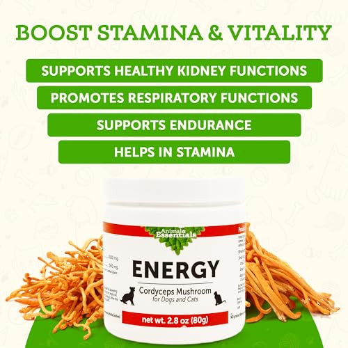 Animal Essentials Energy Cordyceps Mushroom Supplement For Dogs & Cats - Support Stamina & Endurance Healthy Respiratory & Kidney Functions Antioxidant Mushroom Powder Extract - 2.8 Oz (Pack Of 1)