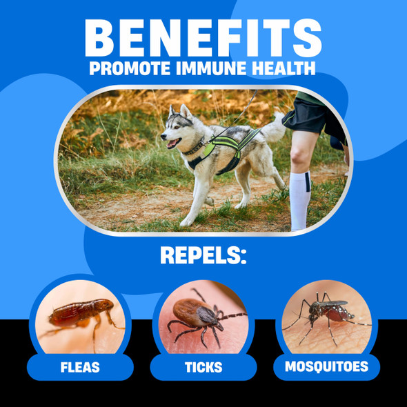 Avid Paws Natural Flea And Tick Prevention For Dogs - Dog Flea And Tick Treatment Chewable - Safe Flea Treatment Dogs Of All Breeds & Ages - Flea Chews For Dogs - Flea Pills For Dogs For Dog Flea & Tick Control