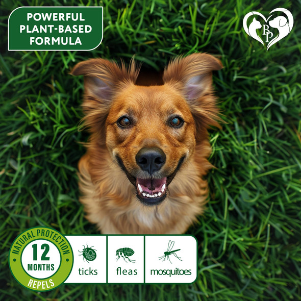 Beloved Pets Natural Flea & Tick Repellent Collar For Dogs Ãƒ¢Ã‚Š¬Ã‚‚¬Å’ Plant-Based Waterproof 6-Month Pest Protection Ãƒ¢Ã‚Š¬Ã‚‚¬Å’ Adjustable Safe (1 Pack 2 Count)