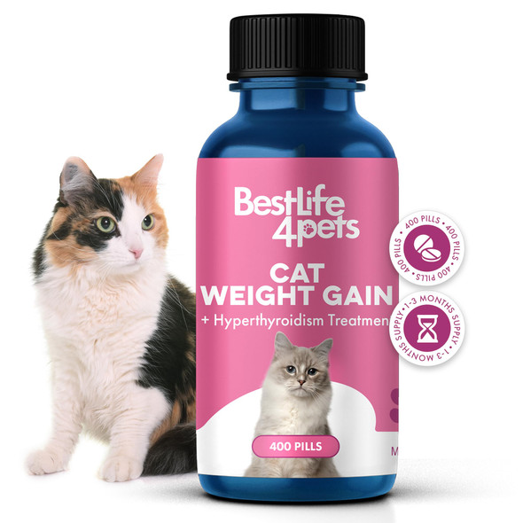Bestlife4Pets Cat Hyperthyroid & Gentle Weight Gain Support For Cats And Kittens - Natural Feline Thyroid Balance For All Ages In Odorless Easy To Use Tiny Pills That Improve Appetite Coat & Energy (400 Pills)