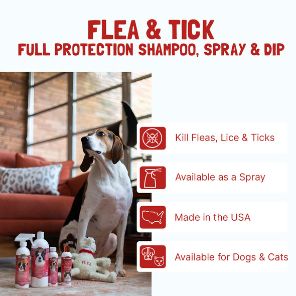 Bio-Groom Flea & Tick Protein-Lanolin Enriched Shampoo - Flea And Tick Prevention For Dogs Cat Flea Treatment Cruelty- Made In Usa Natural Tick Repellent - 1 Gallon
