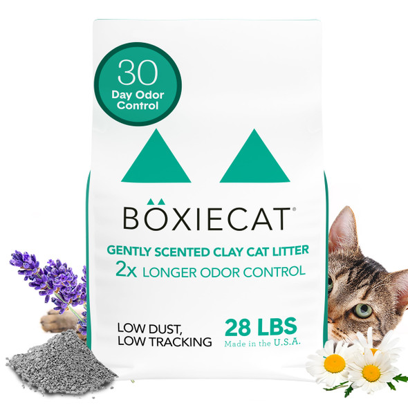 Boxiecat Boxie Unscented 30 Day Odor Control Clumping Clay Cat & Kitty Litter 16 Lb 99.9% Dust- Hard Flat Top Clumps No Fragrances No Fillers Long-Lasting Easy To Scoop