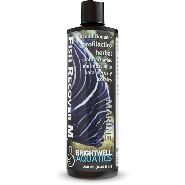 Brightwell Aquatics Fish Recover M Ãƒ¢Ã‚Š¬Ã‚‚¬Å’ Botanical Remedy For Treating Marine Fish Health Issues 1 Liter