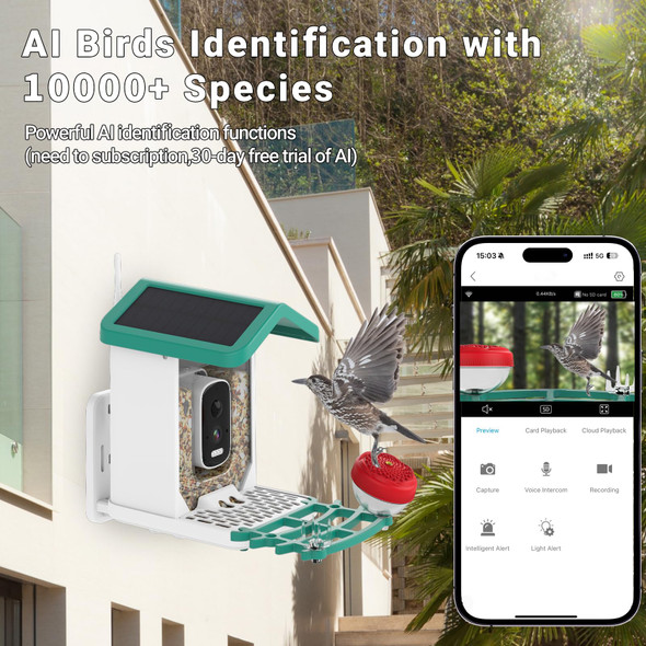 Bsemax Smart Bird Feeder With Camera Solar Powered 2.5K Hd Ai Identify Species Smart Bird House With Cam Auto Capture Animal Videos Instant Notifications For Animal Lovers And Mom Dad (Green)