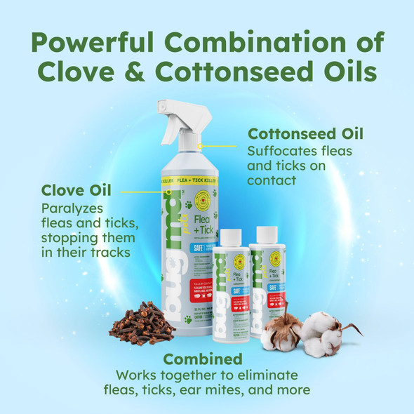 Bugmd Flea And Tick Concentrate (3.7 Oz 2 Pack) Ãƒ¢Ã‚Š¬Ã‚‚¬Å’ Essential Oil Formula For Dogs Controls Fleas Ticks & Mites Safe For Pet Beds Kennels & Home Use