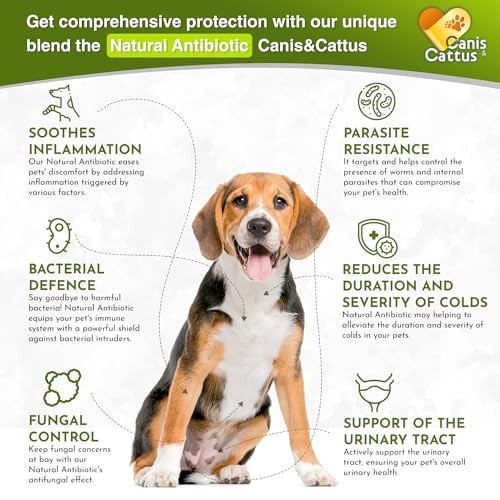 Canis&Cattus Natural Antibiotic For Dogs & Cats Ãƒ¢Ã‚Š¬Ã‚‚¬Å’ Liquid Pets Antibiotic Ãƒ¢Ã‚Š¬Ã‚‚¬Å’ Supports Immunity Reduces Inflammation Controls Parasites And Boosts Urinary Health Ãƒ¢Ã‚Š¬Ã‚‚¬Å’ 2Ãƒ¢Ã‚Š¬Ã‚¯Oz