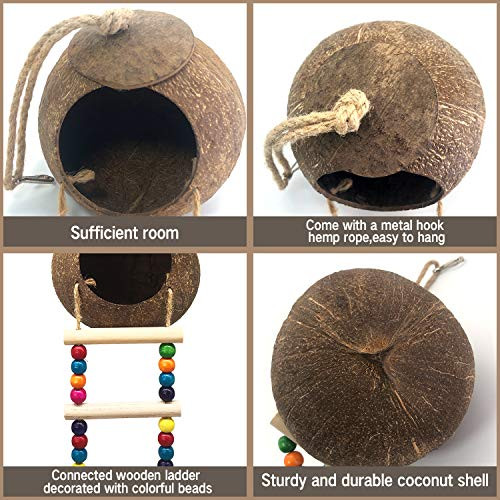 Eeaivnm Hanging Coconut Birds House With LadderNatural Coconut Fiber Shell Bird Nest For Parrot Parakeet Lovebird Finch CanaryCoconut Hide Birds Swing Toys For HamsterBird Cage AccessoriesPet Bird Supply