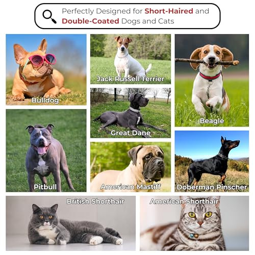 Enukycom Wooden Pet Grooming Kit For Short-Haired & Double-Coated Dogs Cats Horses- Includes Bristle Brush Massage Brushes & Deshedding Tools -Dog Brush For Shedding - Best Deshedding Comb - Idea