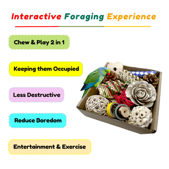 Excyphrxyf Bird Foraging & Bird Shredding Toys BoxNatural Chewing And Foraging Toys For CockatielsParakeetsConuresLove Birds & Small To Medium Parrots