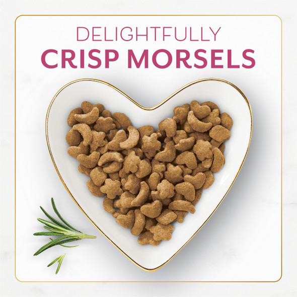 Fancy Feast Fancy Feast Purina Filet Mignon Flavor With Real Seafood & Shrimp Dry Cat Food (7 Ounce (Pack Of 1))