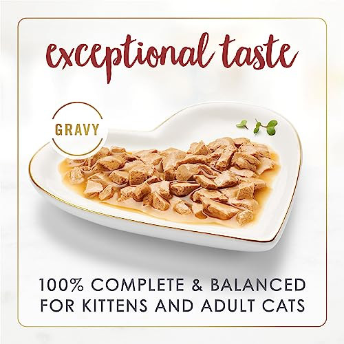 Fancy Feast Purina Gravy Lovers Beef Feast Grilled Gourmet Cat Food In Wet Cat Food Gravy - (Pack Of 24) 3 Oz. Cans