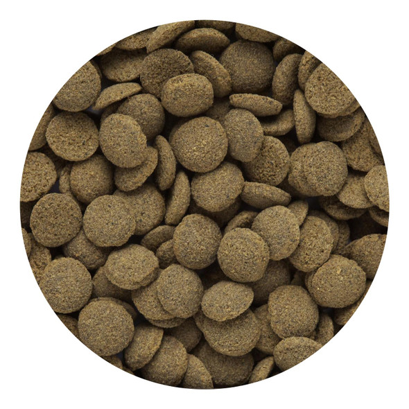 Hikari Tropical Sinking Wafers For Catfish Loaches And Bottom Feeders 3.88 Oz