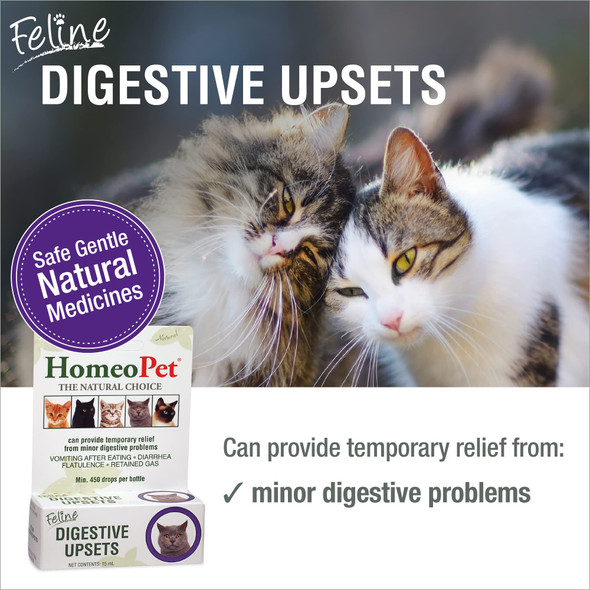 Homeopet Feline Digestive Upsets Safe And Natural Cat Digestive Support 15 Milliliters
