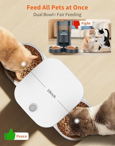 Honeyguaridan Automatic Cat Feeder For 2 CatsAutomatic Cat Food DispenserTimed Pet Feeder For Cats And DogsDesiccant Bag Programmable Portion Control10S Voice Recorder