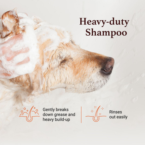 Igroom Squeaky Clean Dog Shampoo Luxury Pet Beauty Care Intense Cleaning Power Chamomile Extracts Sooth Skin Made In Usa (1 Gal)