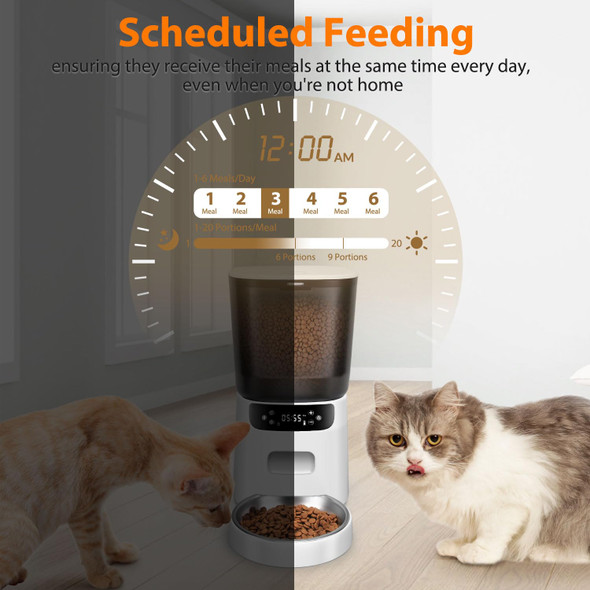 Katalic Automatic Cat Feeder Cat Food Dispenser With Stainless Steel Bowl Timed Portion Control 20 Portions 6 Meals Per Day Voice Recorder Dual Power Supply For Small Dogs (Black)