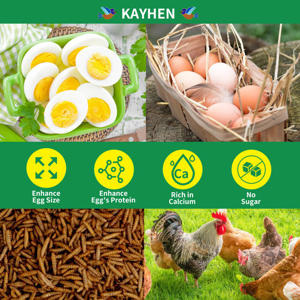 Kayhen Dried Black Soldier Fly Larvae 5Lb Non-Gmo Bsf Larvae For Chickens More Calcium Than Mealworms High-Protein Chickens Treats For Layer Hens Wild Birds Ducks