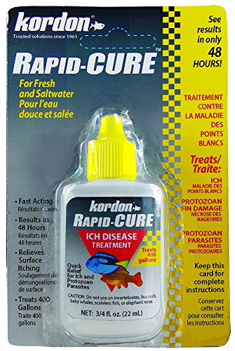 Kordon Rapid Cure # 37911 Ich & Parasite Treatment 0.75 Ounce