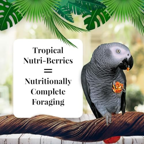 Lafeber'S Tropical Fruit Nutri-Berries Pet Bird Food Made With Non-Gmo And Human-Grade Ingredients For Parrots 3 Lb