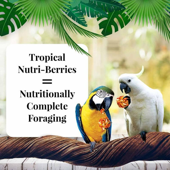 Lafeber'S Tropical Fruit Nutri-Berries Pet Bird Food Made With Non-Gmo And Human-Grade Ingredients For Macaws And Cockatoos 3 Lb