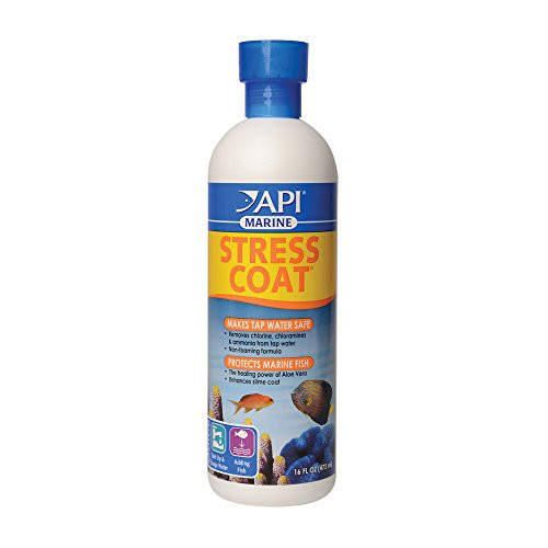 Mars Fishcare North Amer Api Marine Stress Coat Saltwater Aquarium Water Conditioner 16-Ounce Bottle