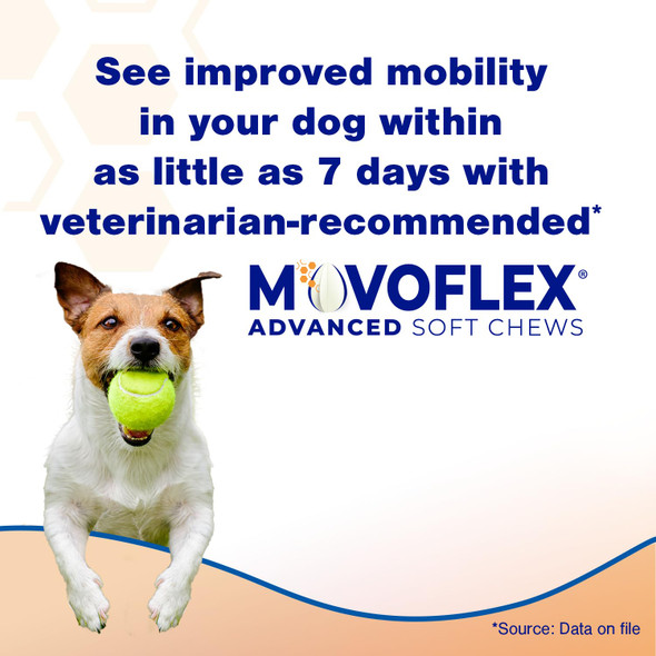 Movoflex Soft Chews Hip And Joint Support Supplement For Dogs For Medium Dogs - 60 Count By Virbac