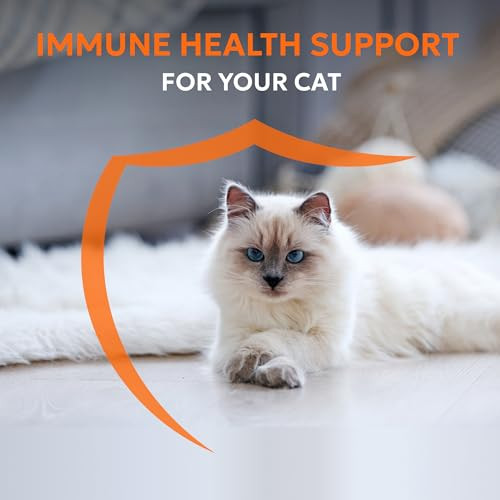 Nutramax Laboratories Imuquin Immune Health Supplement Powder For Cats With Beta Glucans Marine Lipids Vitamins And Minerals 30 Packets Updated Version
