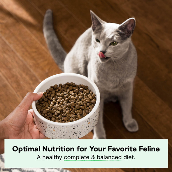 Open Farm Grain Dry Cat Food High-Protein Kibble For A Complete & Balanced Diet Non-Gmo Fruits & Vegetables Prebiotic Fibers To Support Digestion Homestead Turkey & Chicken Recipe 4Lb Bag