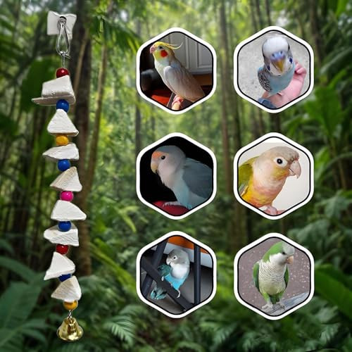 Prfokey Parrot Toys 4-Pack With Cuttlebone For Birds - Calcium Chew Toys & Grinding Stone For Parakeets Budgies Cockatiels Lovebirds - Promotes Beak Health Prevents Destructive Chewing Easy To Install