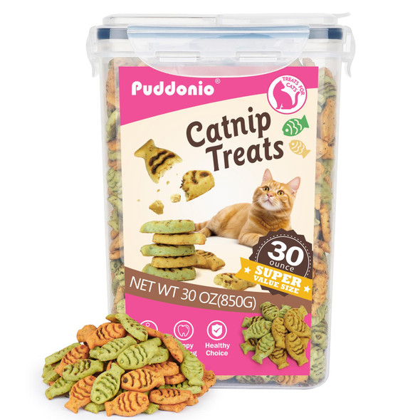 Puddonio Catnip Cat Treats Chicken And Salmon Flavor Cat Snacks Training Biscuits Treats For Cats Crunchy Fish Shape Adult Cat Biscuits 16 Oz