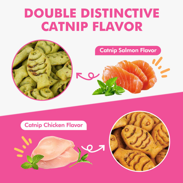 Puddonio Catnip Cat Treats Chicken And Salmon Flavor Cat Snacks Training Biscuits Treats For Cats Crunchy Fish Shape Adult Cat Biscuits 16 Oz