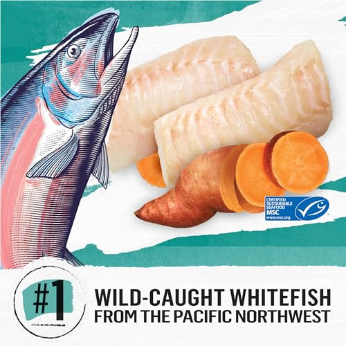 Purina Beyond Grain  Natural Dry Cat Food Simply Grain Wild Caught Whitefish & Cage Egg Recipe - 5 Lb. Bag