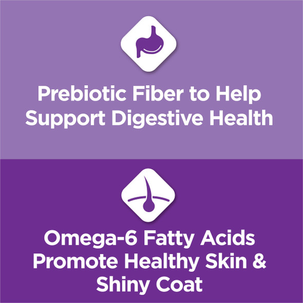 Purina Cat Chow Gentle Sensitive Stomach And Skin Dry Cat Food With Turkey - 13 Lb. Bag