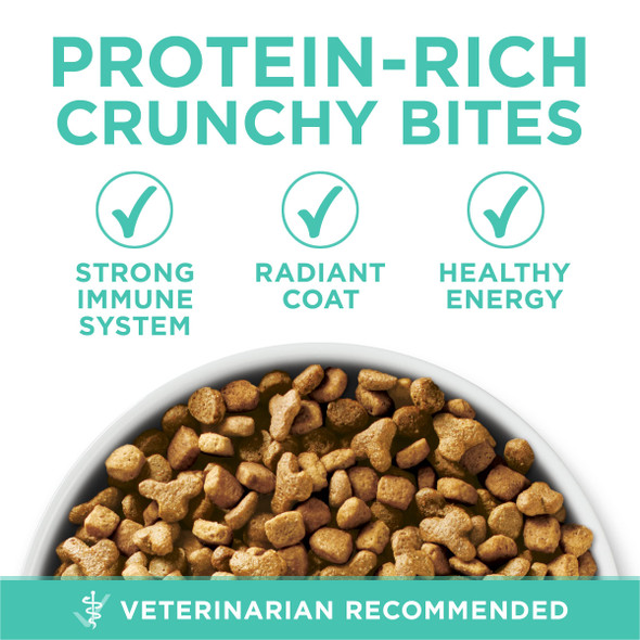 Purina One Sensitive Stomach Sensitive Skin Natural Dry Cat Food +Plus Sensitive Skin And Stomach Formula - 16 Lb. Bag