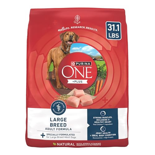 Purina One +Plus Dry Dog Food For Large Adult Dogs High Protein Real Chicken - 31.1 Lb Bag