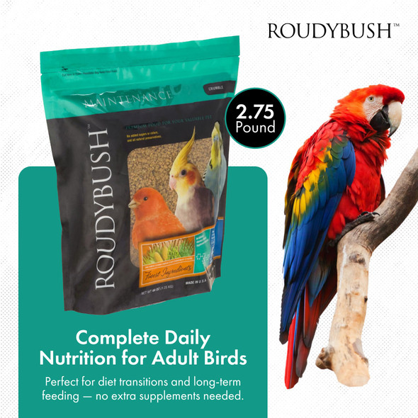 Roudybush Daily Ma+F19:H19Intenance Food For Birds - Scientifically Formulated Bird Feed - Bird Food Pellets W/Corn Wheat Soy & More - Nutritious & Healthy Feed For Birds (Crumble 44Oz)