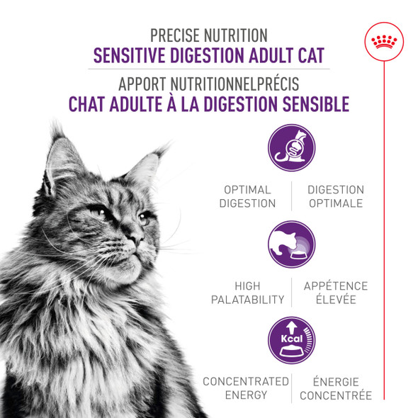 Royal Canin Feline Health Nutrition Sensitive Digestion Adult Dry Cat Food 3.5 Lb Bag