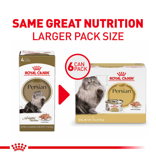 Royal Canin Feline Breed Nutrition Maine Coon Adult Dry Cat Food 6 Lb Bag
