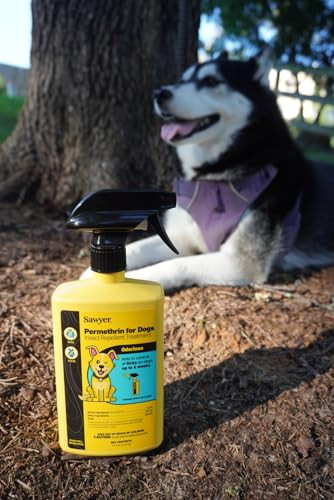 Sawyer Products Sp624 Permethrin Permethrin For Dogs Insect Repellent Treatment