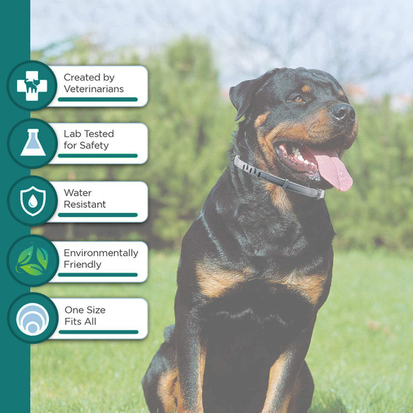 Shengkou Natural Flea And Tick Collar For Puppies - 12-Month Protection Safe Pest Control - Waterproof Strong - Flea Comb And Tick Tweezer Included - 2-Pack 13.8 Inches