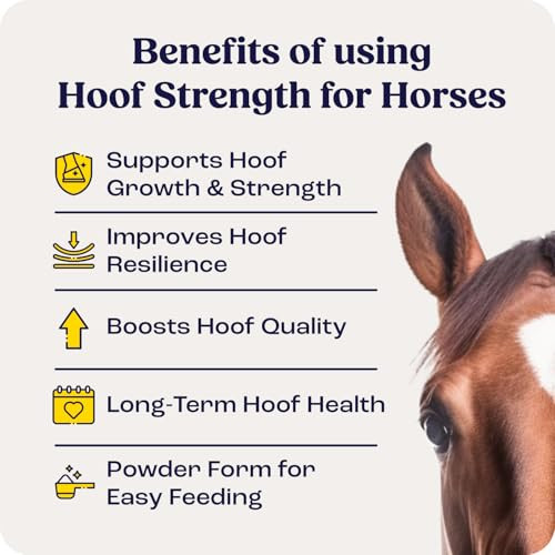 Summit Animal Health Equine Hoof Strength Powder For Horses Promotes Healthy Hooves With Biotin Amino Acids And Minerals Horse Hoof Supplement11 Oz 30-Day Supply