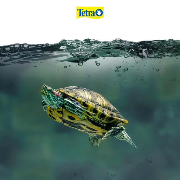 Tetra Tetrafauna Aquasafe For Reptiles And Amphibians 3.08 Ounces Aqua-Terrarium Water Conditioner Makes Tap Water Safe