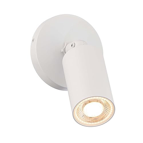 WAC Lighting Cylinder LED Single Adjustable Indoor or Outdoor Wall Light 3000K in White
