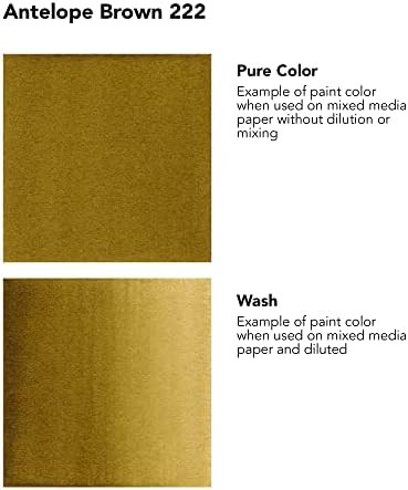 Daler-Rowney Fw Acrylic Ink Bottle Antelope Brown - Versatile Acrylic Drawing Ink For Artists And Students - Permanent Calligraphy Ink - Archival Ink For Illustrating And More