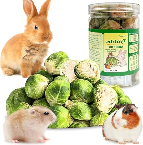 Tyotrbs Ze Dried Brussels Sprouts Rabbit And Hamster Chew Treats Resealable Jar For Hamsters Bunny Guinea Pigs Groundhogs Natural Fiber Vitamin Snacks Hamsters Chinchillas (M/ 2.12Oz)