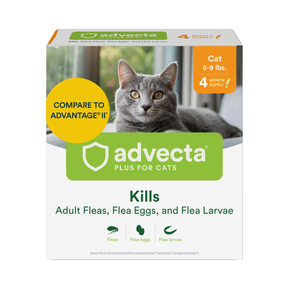 Advecta Plus Topical Large Cat Flea Treatment For Cats And Kittens Flea Prevention And Control Fast-Acting Waterproof Drops 4-Month Supply
